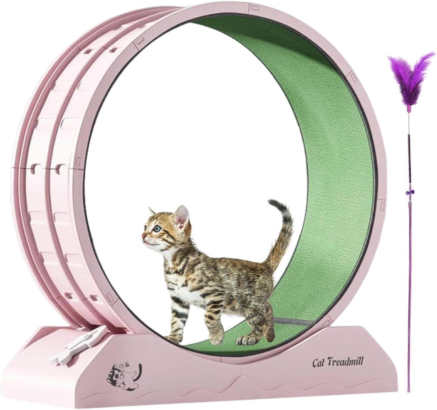 Eventerde Ruota per esercizi per gatti - Ruota per gatti | Attrezzatura da fitness per gattini | Ruota da corsa con teaser per gatti da interni per la perdita di peso, Tapis roulant per gattini a basso rumore