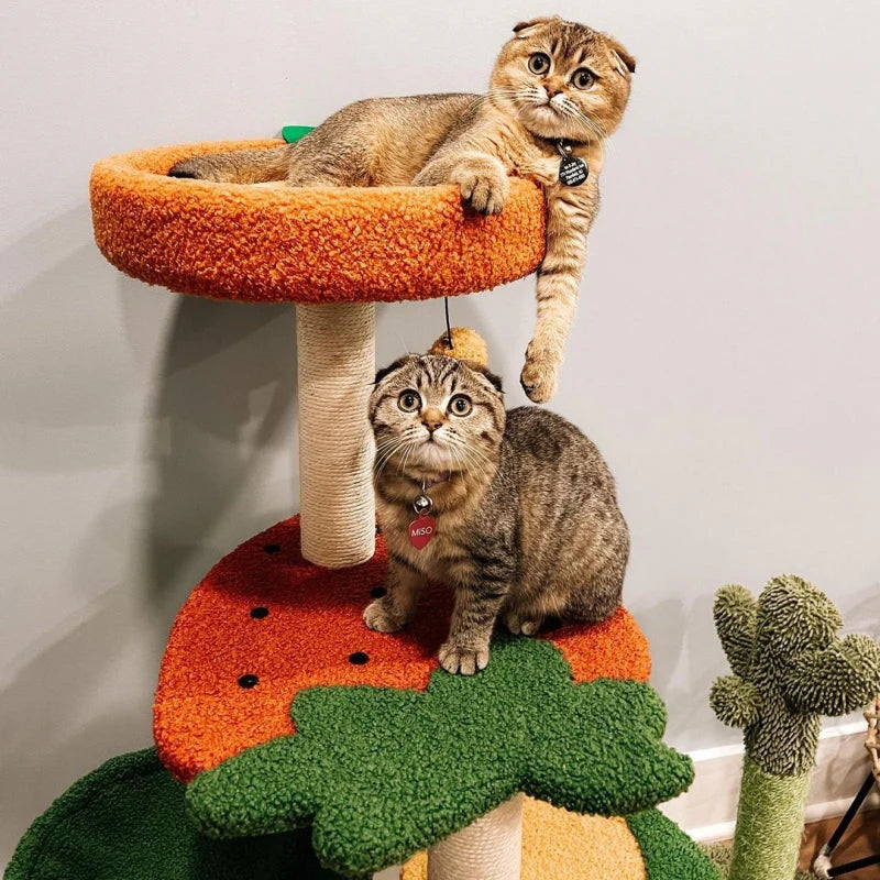 Albero Tiragraffi "Mondo della Frutta" – Un Paradiso per Gatti Giocherelloni