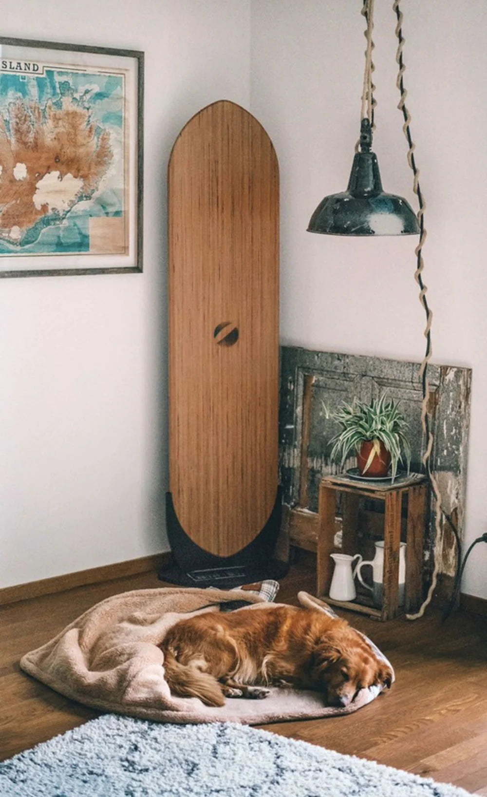 Supporto da terra singolo Strobel & Walter per Yogaboard