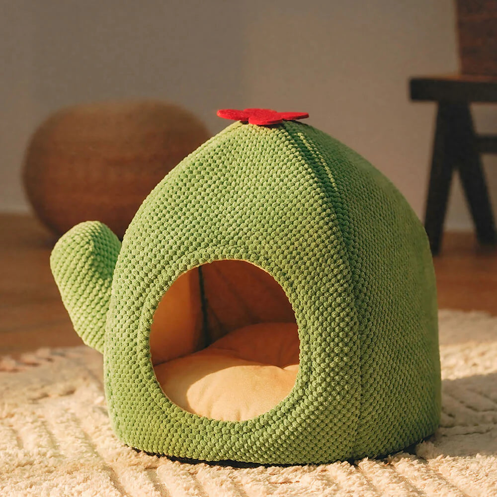 KatzenOase – Cestino a forma di cactus per ore di sonno accoglienti per i gatti
