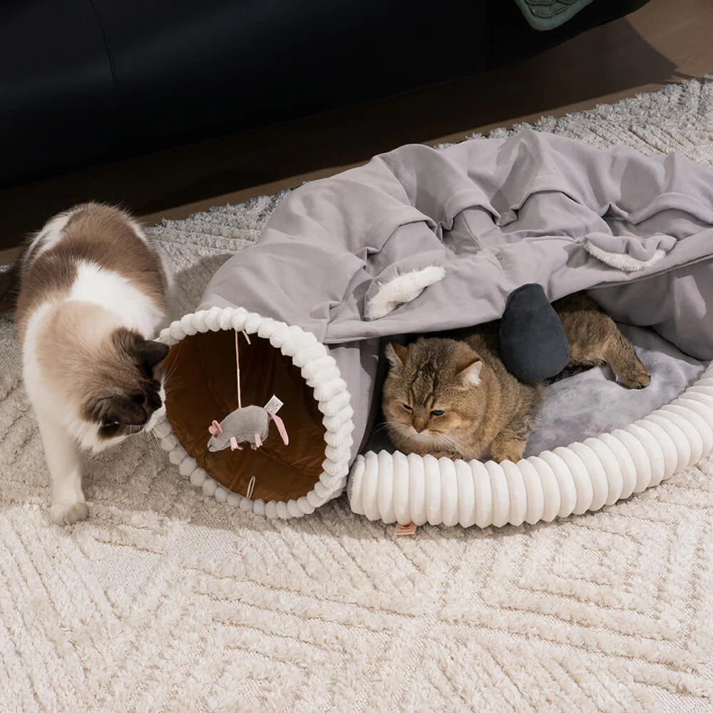 Faltbarer ComfyCat-Tunnel – Kuscheliges 2-in-1 Bett für drinnen