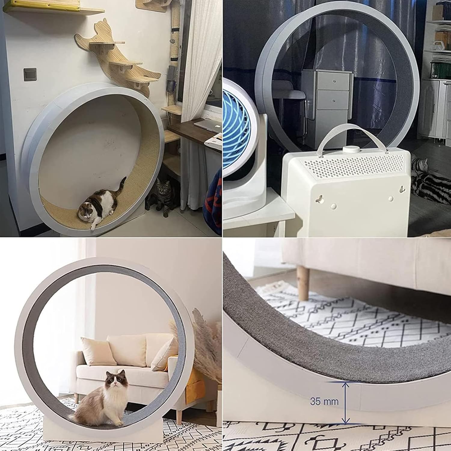 SKIHOT Ruota da corsa grande per gatti 120 cm, Ruota per gatti da appartamento, Giocattolo per esercizi indoor per gatti di piccola/media taglia, Tapis roulant per gatti