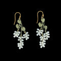 Betulla di primavera - Fcherohrhnger