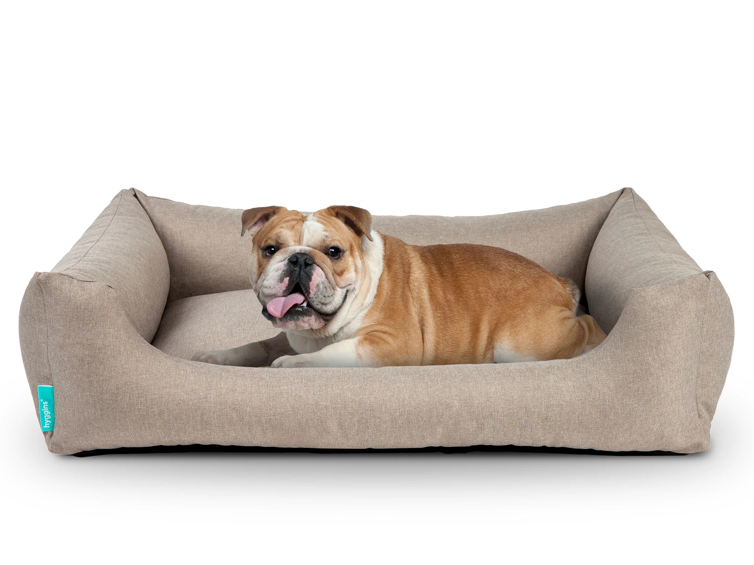 Cuccia per cani Dreamer Pure