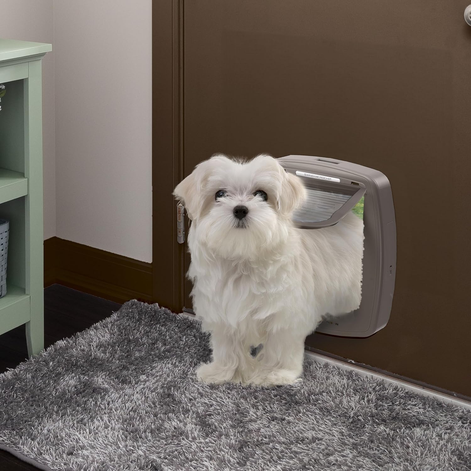 Ferplast Gattaiola per Cani di Taglia Media, Gattaiola per Gatti, Sportello per Animali Domestici a 4 Vie con Ingresso e Uscita Controllabili, con Protezione dalle Correnti d'Aria, Tunnel Completo, Sportello per Cani Swing 11, Grigio