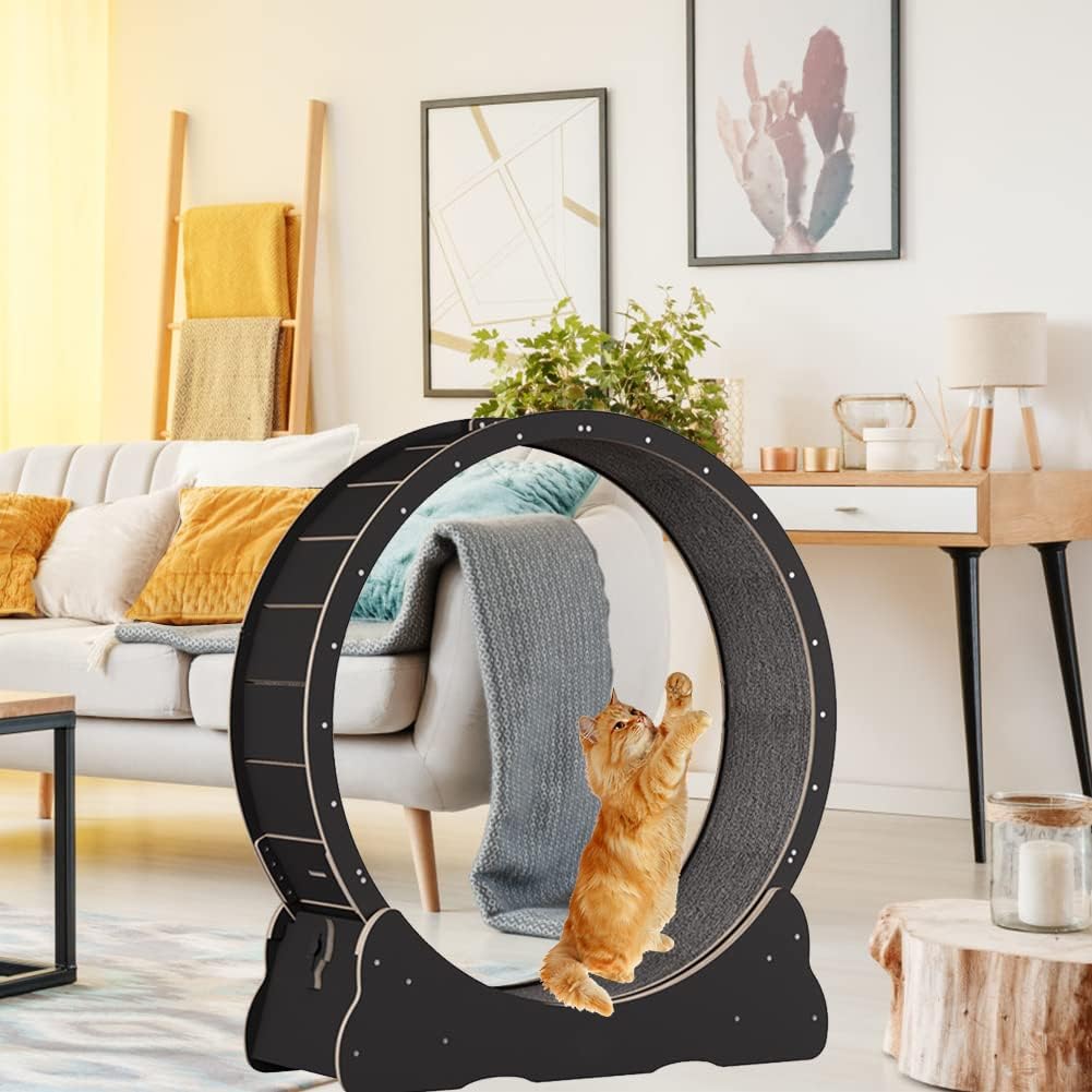 Keyzone Ruota per esercizi per gatti, 1100 x 345 x 1170 mm Tapis roulant per gatti, Tapis roulant con moquette, Attrezzatura fitness per la perdita di peso, Giocattolo sportivo per gatti, Per una vita più lunga del gatto