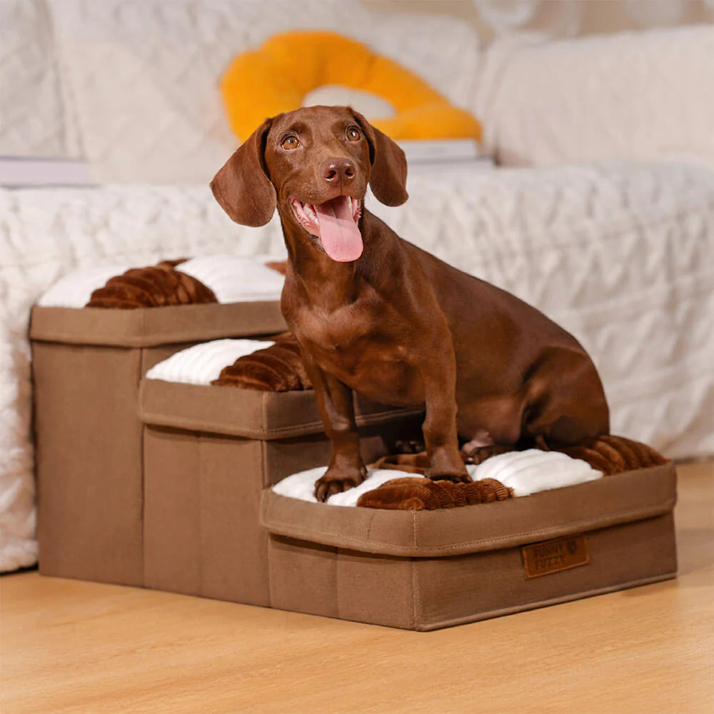 Stylish and handmade dog stairs with practical storage for joint protection