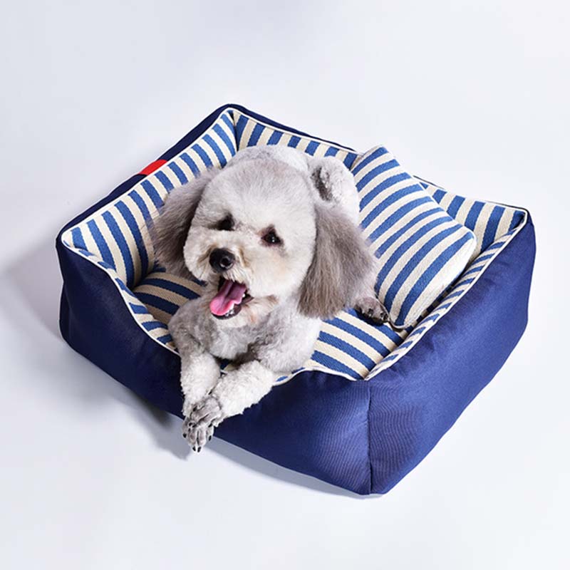 ComfyPaws - Letto di lusso per cani per il massimo comfort e supporto