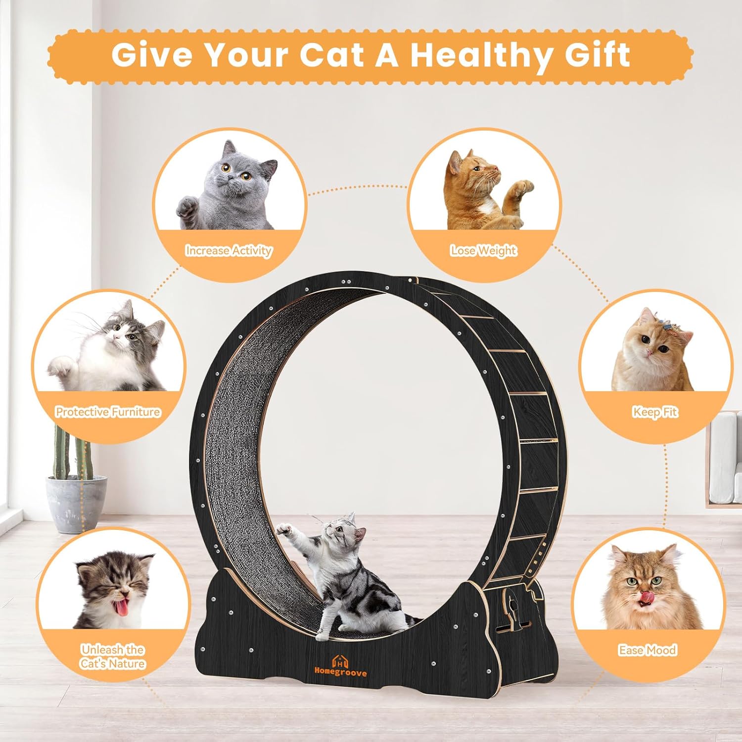 Homegroove Katzen-Laufrad für Indoor-Katze, 101,6 cm groes Katzenlaufrad mit Teppichlaufbahn, Katzenlaufband für lngere Lebensdauer, Katzenrad für Fitness-Gewichtsverlust-Gert, Schwarz (L)