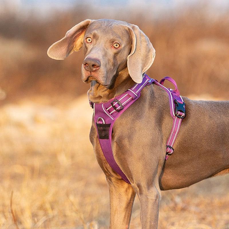 Pettorina Anti-Tiro TrueControl – Presa Sicura e Comfort
