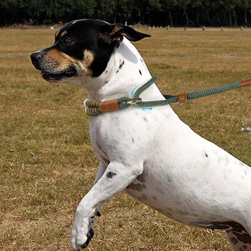 Guinzaglio da addestramento intrecciato – Soluzione tutto in uno per cani