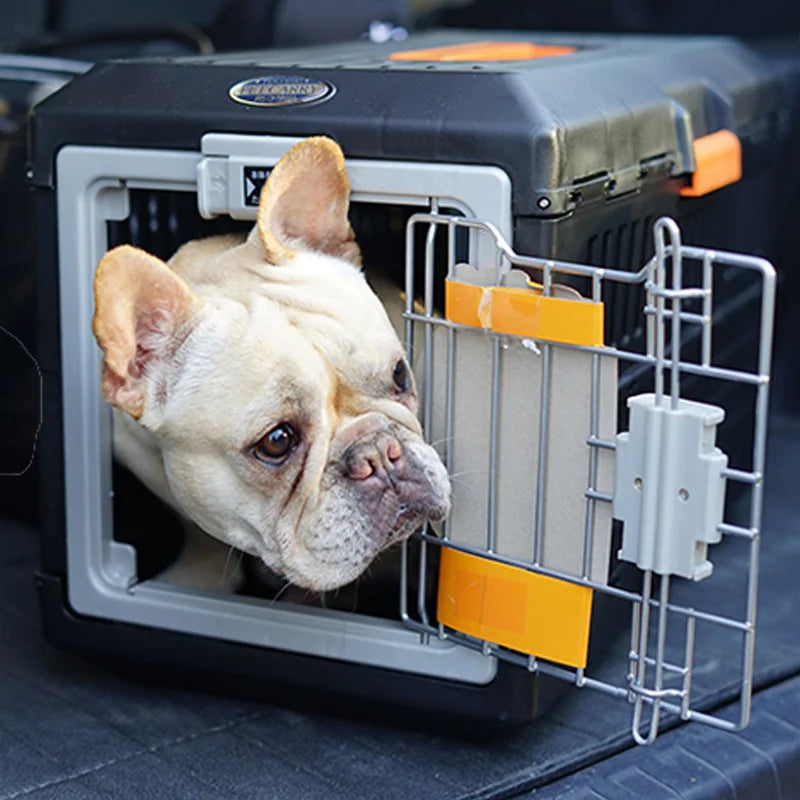 Kees | Reisekorb für Hunde und Katzen