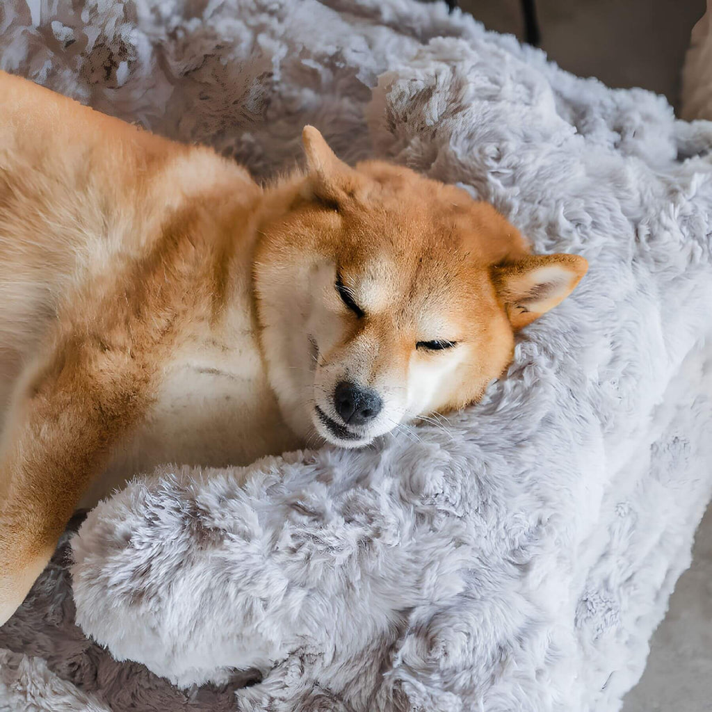 Dog Bed in Bone Shape – Soft Sleeping Nest for Comfort and Relaxation