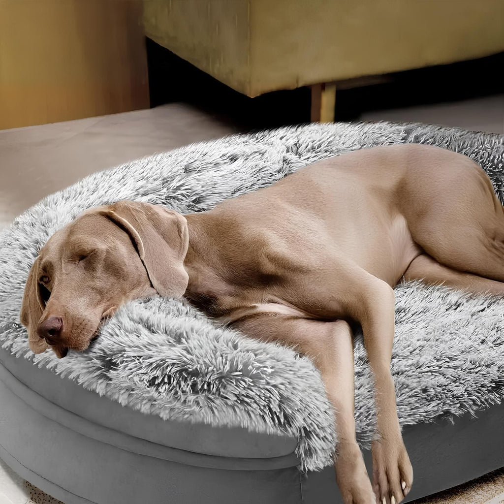 HundeTraum - Orthopdisches Hundebett für optimalen Schlafkomfort