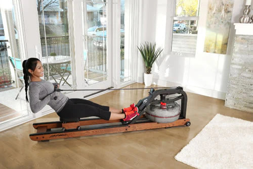 Vogatore Life Fitness Row HX