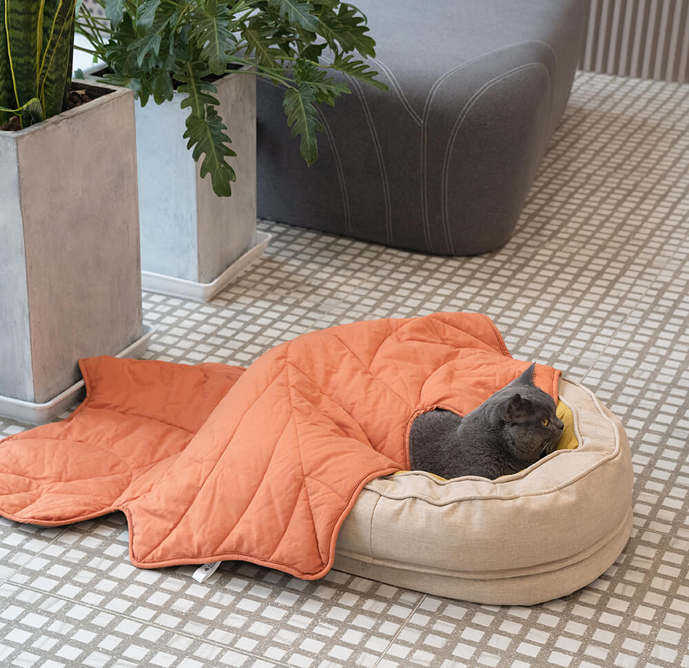 Donut Kuscheliges Orthopdisches Hundebett