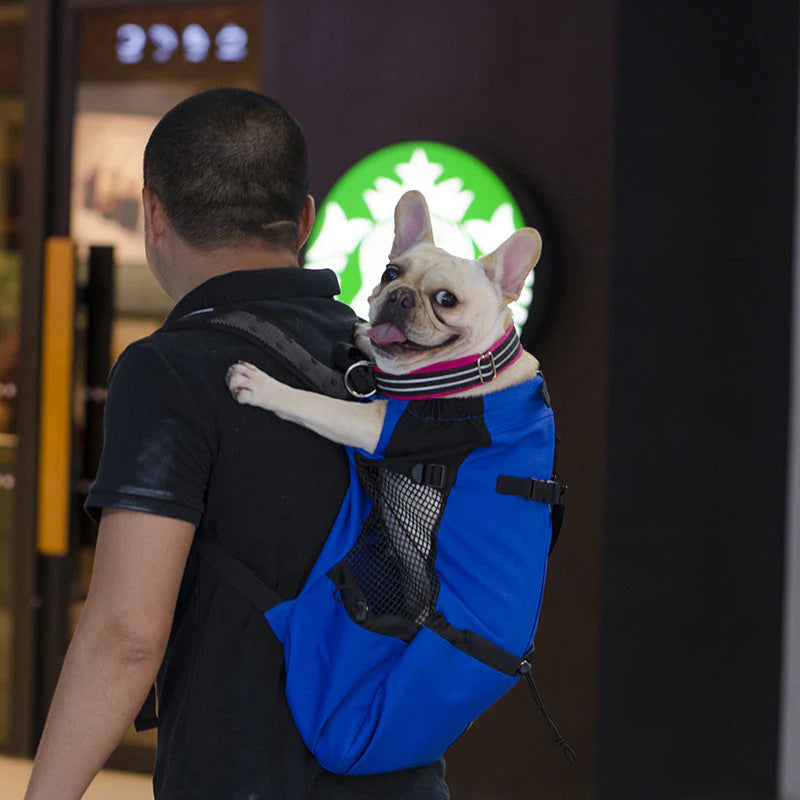 Zaino multifunzionale per cani di taglia media – Comodo e Robusto