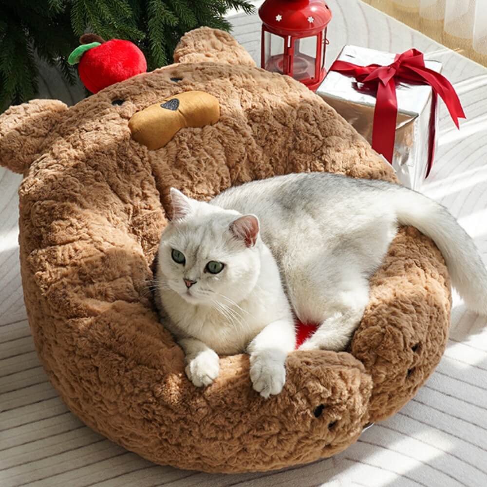 KittyDream – Lettino morbido per gatti a forma di mela per accoglienti rifugi