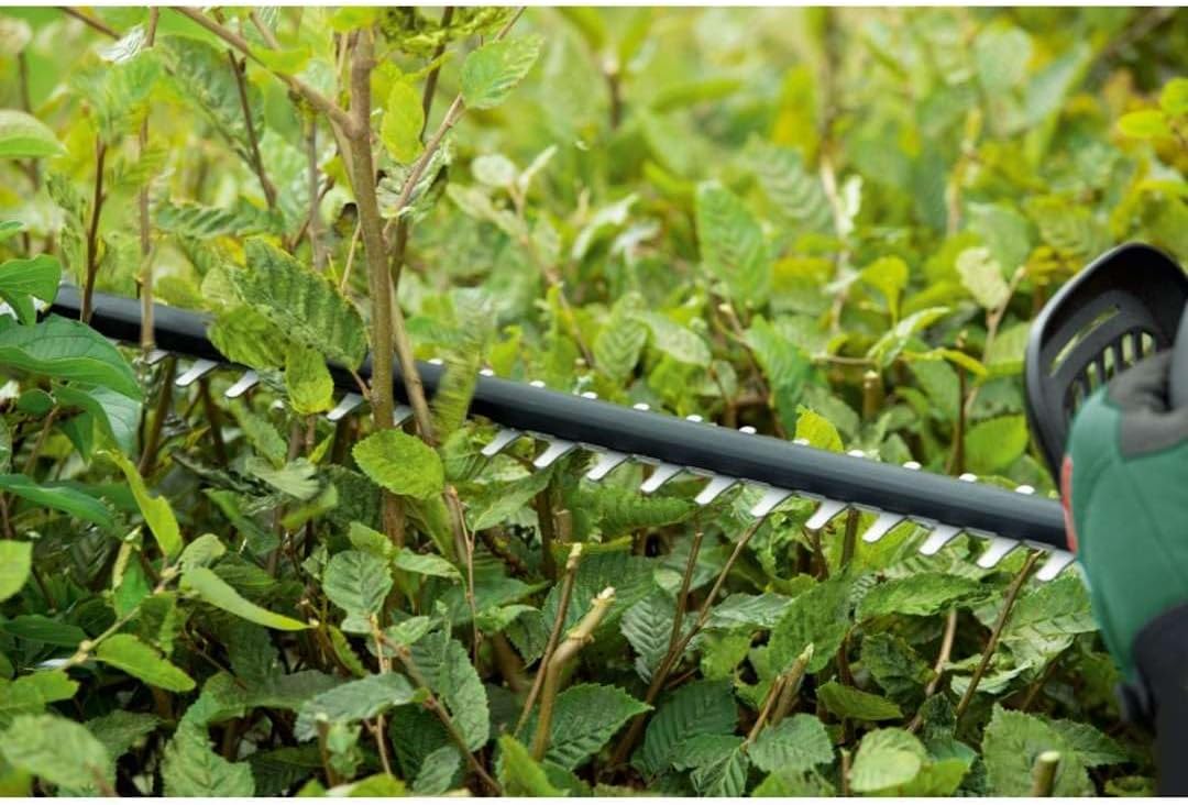 Bosch Tagliasiepi a batteria UniversalHedgeCut 18V-50 (1 batteria 2,5 Ah, sistema 18 Volt, lunghezza lama 50 cm, in scatola di cartone)