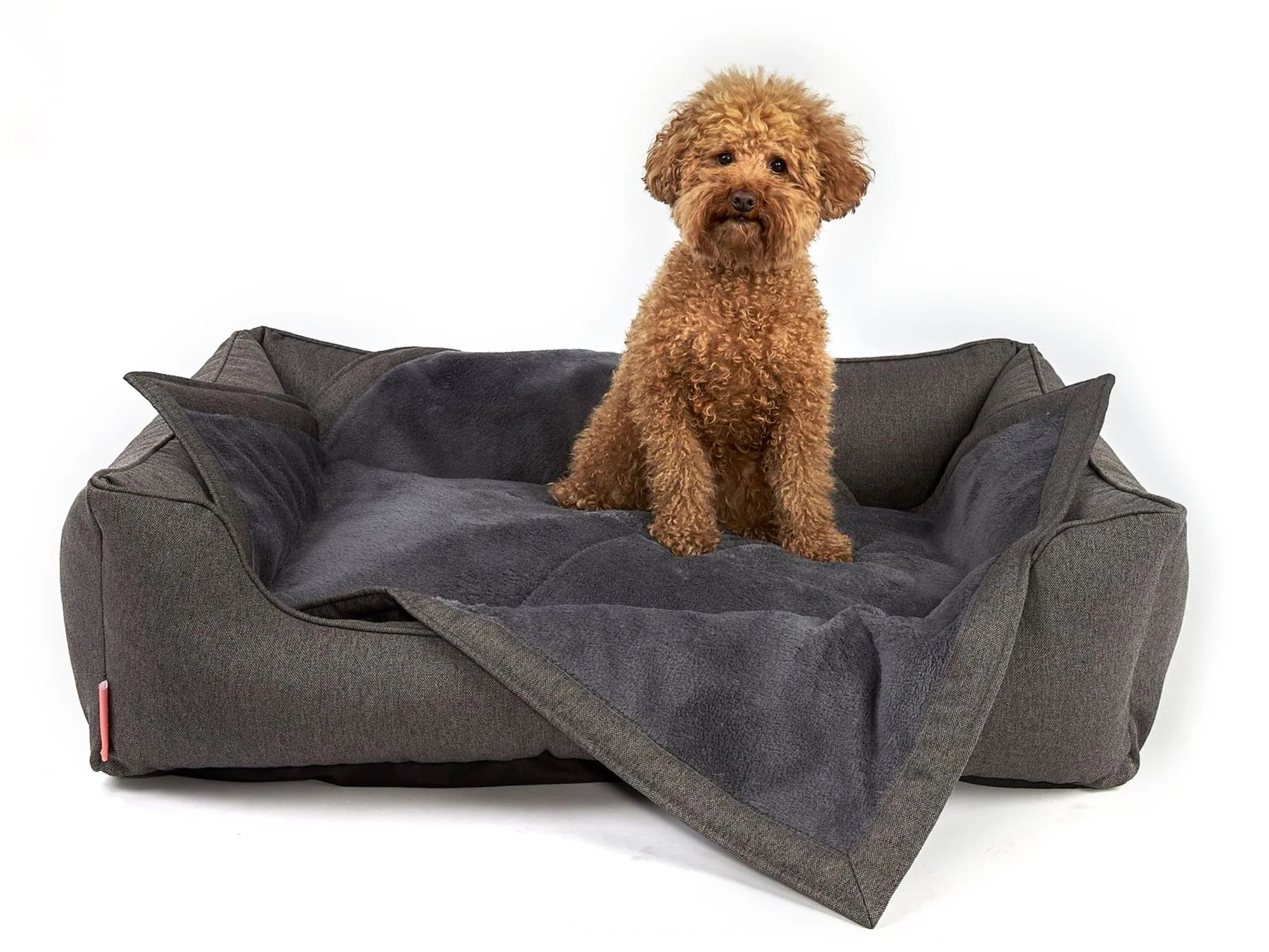 Coperta per cani Cosy Plus