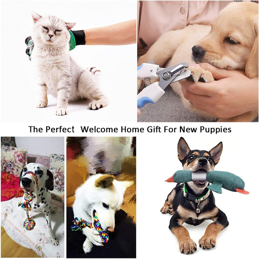 AONESY Welpen Wesentlich Set 24 Stück Hundebedarf Hund Anfnger Sets Einschlielich Hundespielzeug-Set/Hundedecken/Puppy Training Supplies/Hundepflege-Tool/Fütterung & Bewsserung Supplies