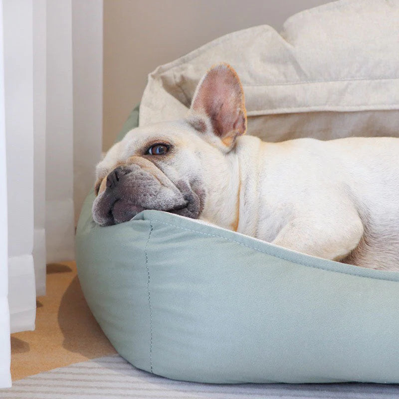 Lussuoso letto per cani in pelle scamosciata – Comfort morbido e profondo per un sonno riposante