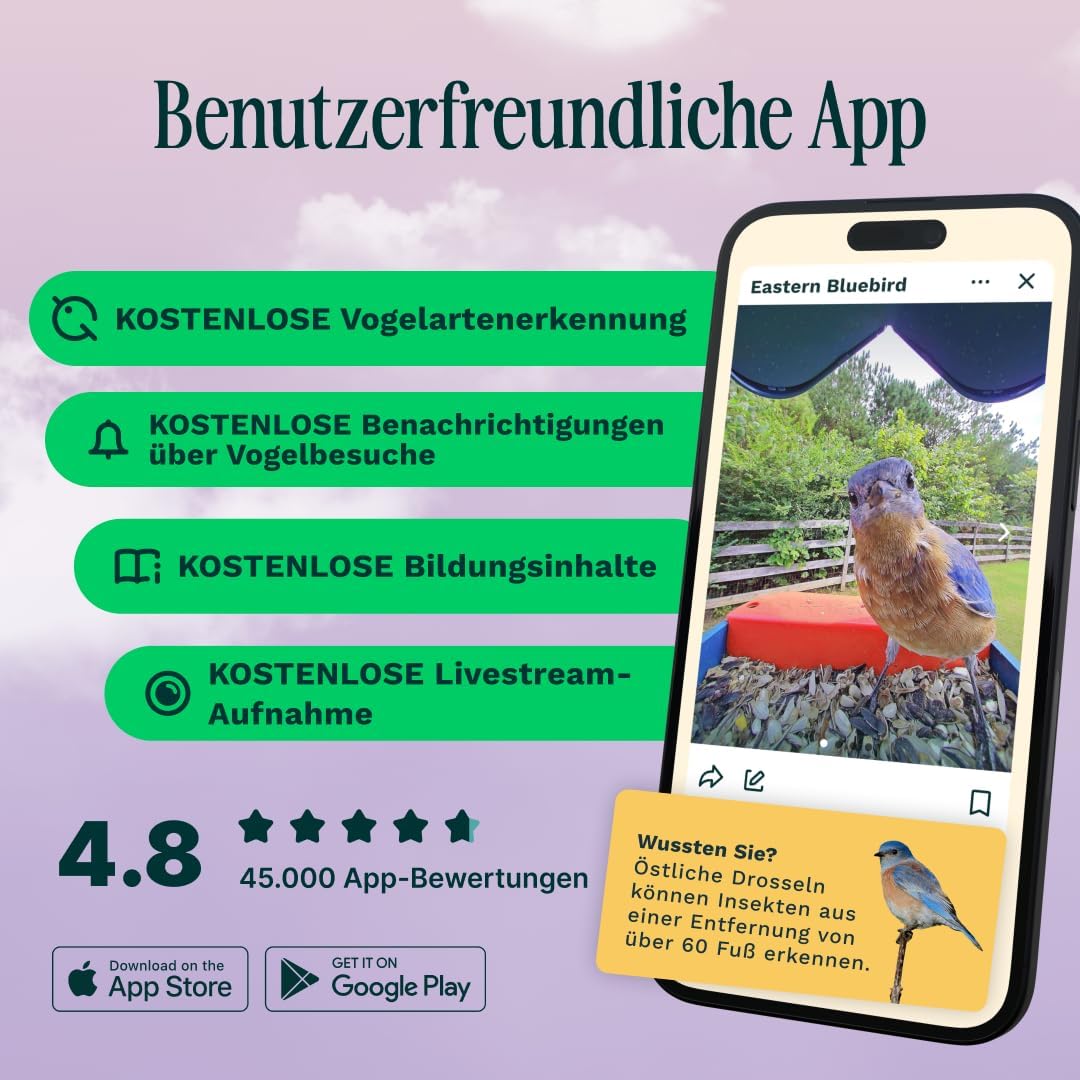 Bird Buddy Pro Solar Smart Vogelfutterstation mit Kamera – AI-Vogelarten-Identifikation, 5-MP-Fotos, 2K-Ultra-Video-Live-Stream-Kamera, Zeitlupenvideo, 6,6 cm Fokus – Blue Solar