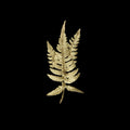 Farn - Spilla
