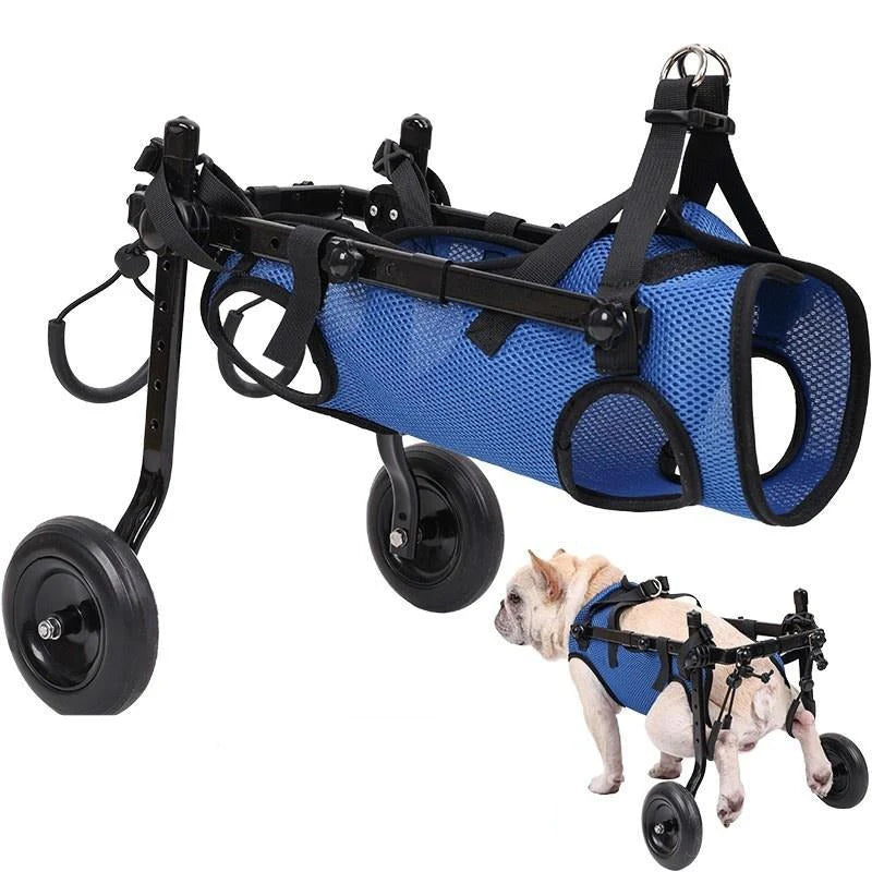 Rollstuhl für Hunde – Mobilitt und Freiheit für Ihren Vierbeiner