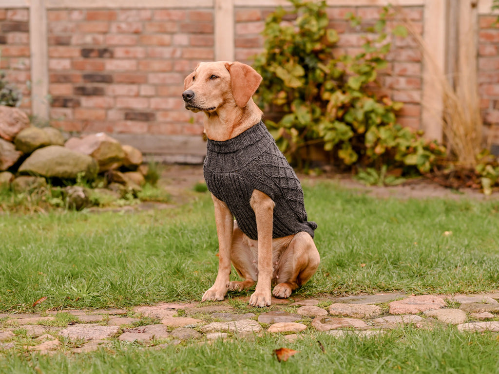 Pullover für Hunde: Himalaya