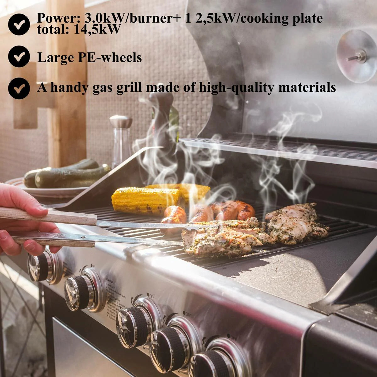 Limousin Barbecue a gas Royal 4+1 Inox