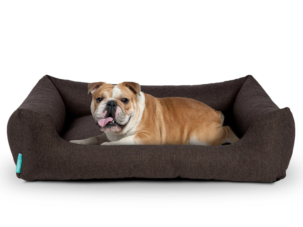 Cuccia per cani Dreamer Pure