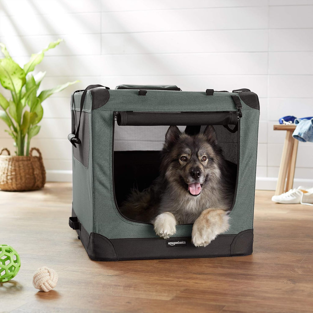 Amazon Basics – Morbida borsa pieghevole per animali domestici, 30 pollici/76,2 cm, grigia