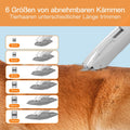 AIRROBO PG100 Hundeschermaschine mit Staubsauger, Profi Haustierpflegeset mit 12000 Pa Saugkraft, leise Schermaschine für Hunde Katzen, Tierhaarentferner mit 5 Pflegewerkzeugen, 2L Staubbehlter