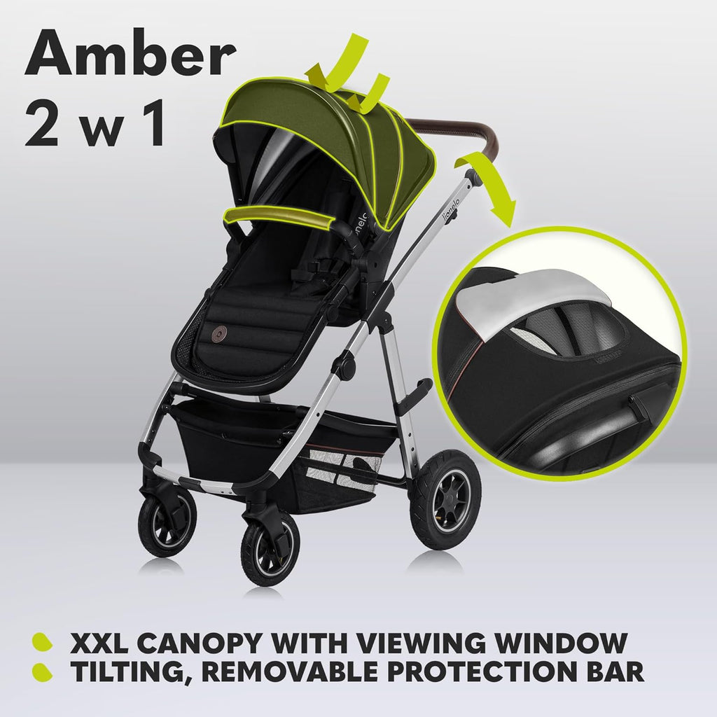 LIONELO Amber Kinderwagen 2 in 1 Kombikinderwagen, Kinderwagen Set mit sportlichen Sitz und fester Babywanne, Tasche, Moskitonetz, Abdeckung Regenblatt (Graphit)