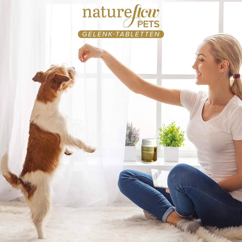 NATUREFLOW Compresse Articolari Cani – Confronto MOLTO BUONO Made in Germany con Cozza Verde, MSM e Artiglio del Diavolo - Non capsule, elevata accettazione Compresse Articolari Cane - 300 Pezzi Fornitura