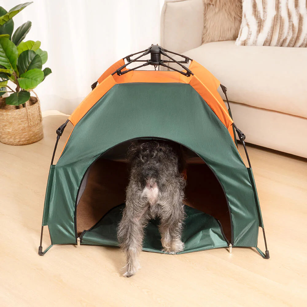 PetCamp - Faltbares Campingzelt für Hunde und Katzen, ideal für Outdoor-Abenteuer