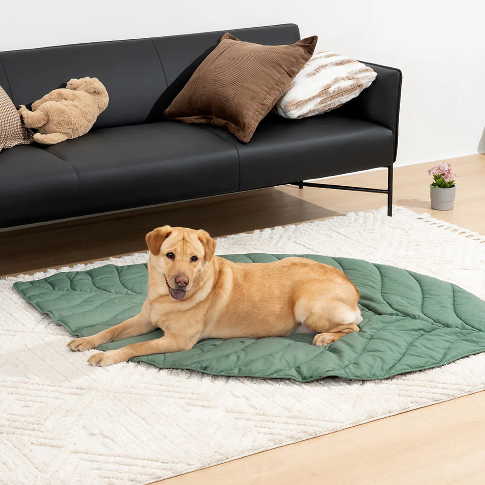 Coperta per cani a forma di foglia per persone - Tappetino comfort extra large