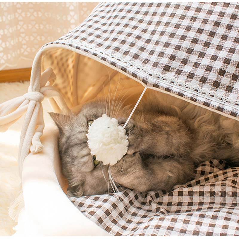 CozyPaws – Komfortables Halb-Katzenbett für entspannte Nickerchen