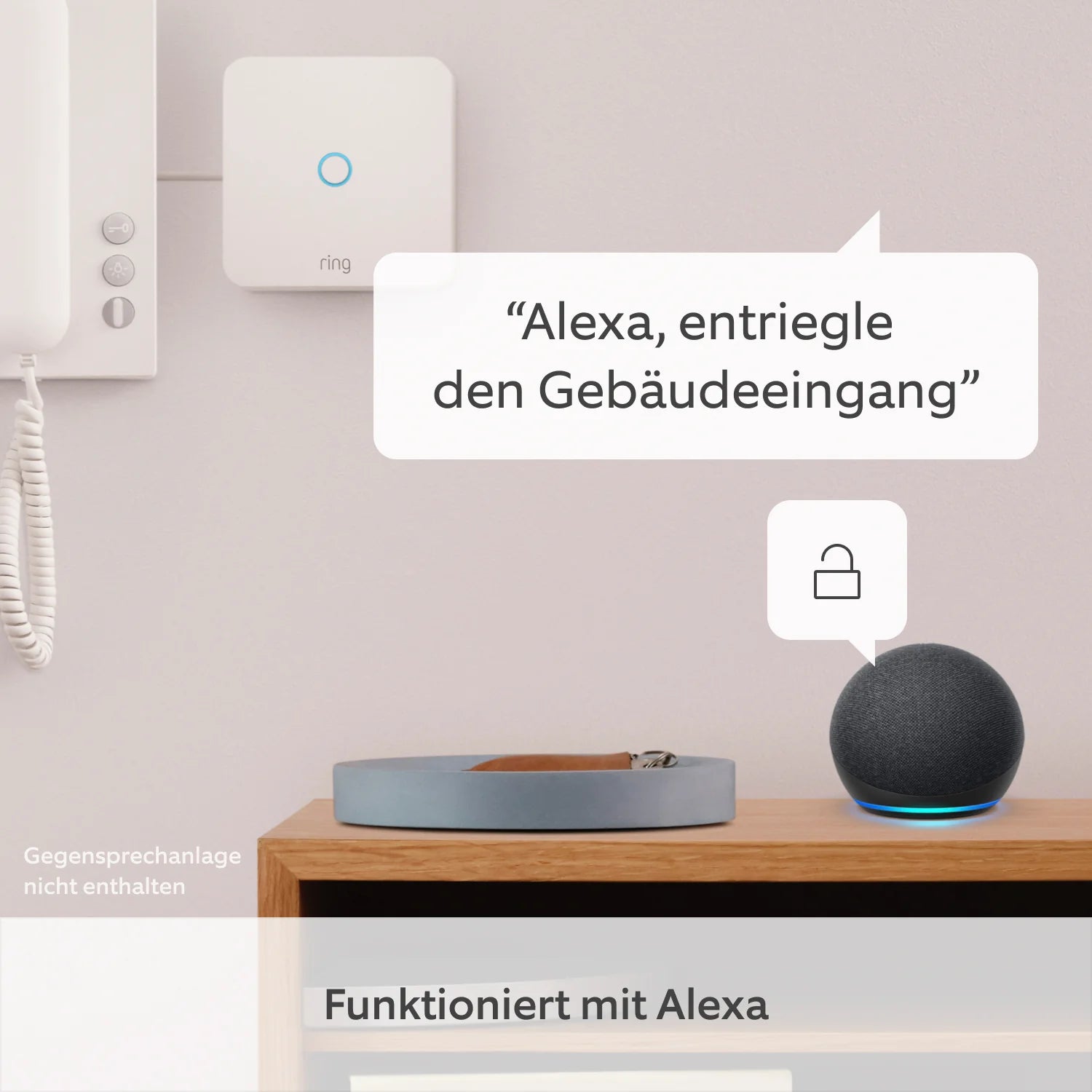 Ring Intercom + Schnellwechsel-Akkupack + Ladestation