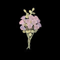 Spilla rosa rosa - bouquet di fiori