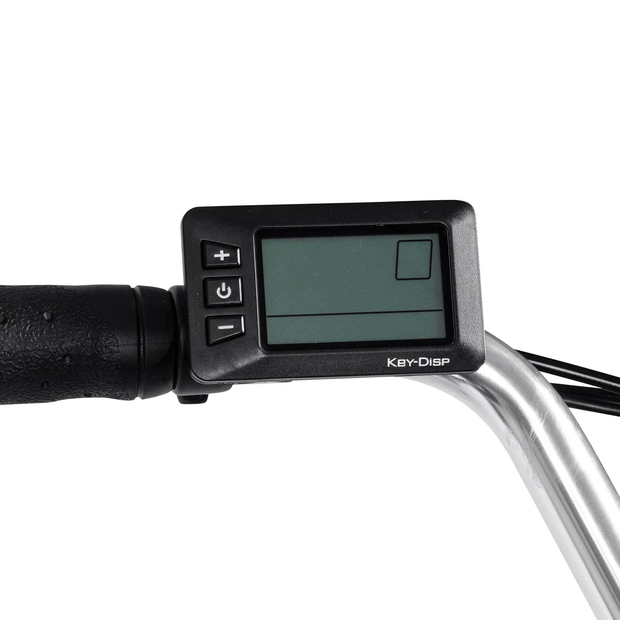 Swoop E-Bike Classic, Uomo 28