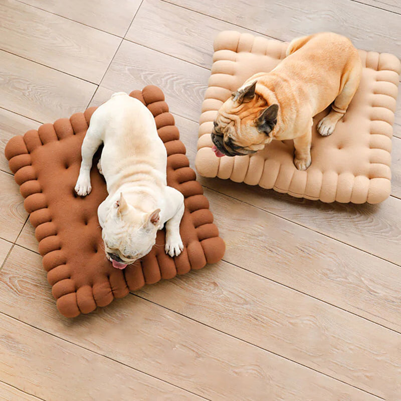 Komfortables Hundebett – Keksform für stilvolles Schlafen