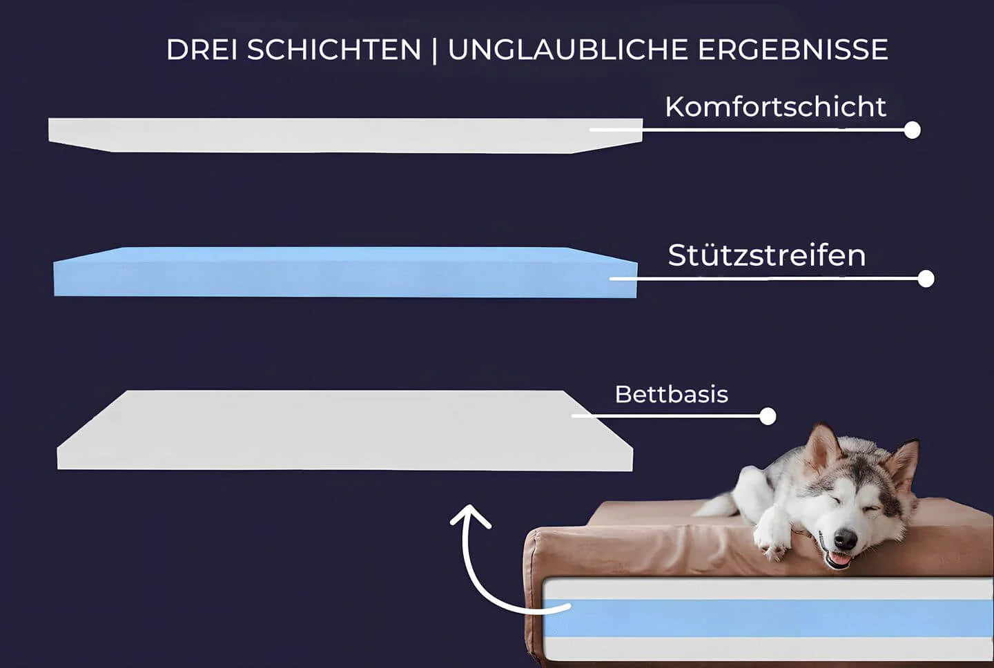 CozyNest – Lussuosa cuccia per cani di taglia grande con comfort e stile