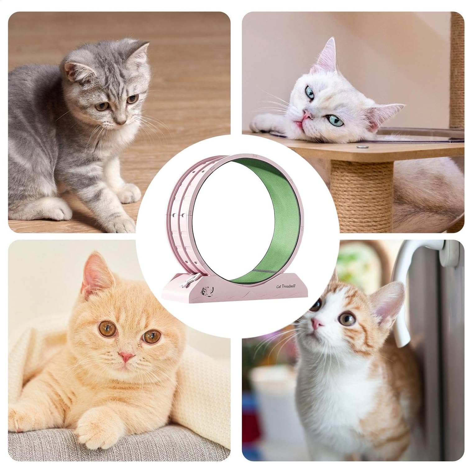 Eventerde Ruota per esercizi per gatti - Ruota per gatti | Attrezzatura da fitness per gattini | Ruota da corsa con teaser per gatti da interni per la perdita di peso, Tapis roulant per gattini a basso rumore