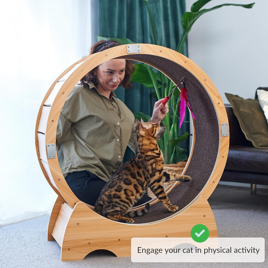 Laufrad Katze gro | Katzenrad | Laufband für Katzen | groes Cat Running Wheel für Wohnungskatzen | Cat Wheel Beschftigungsspielzeug für Katzen | Katzen Laufrad drinnen | Laufrad Katzen