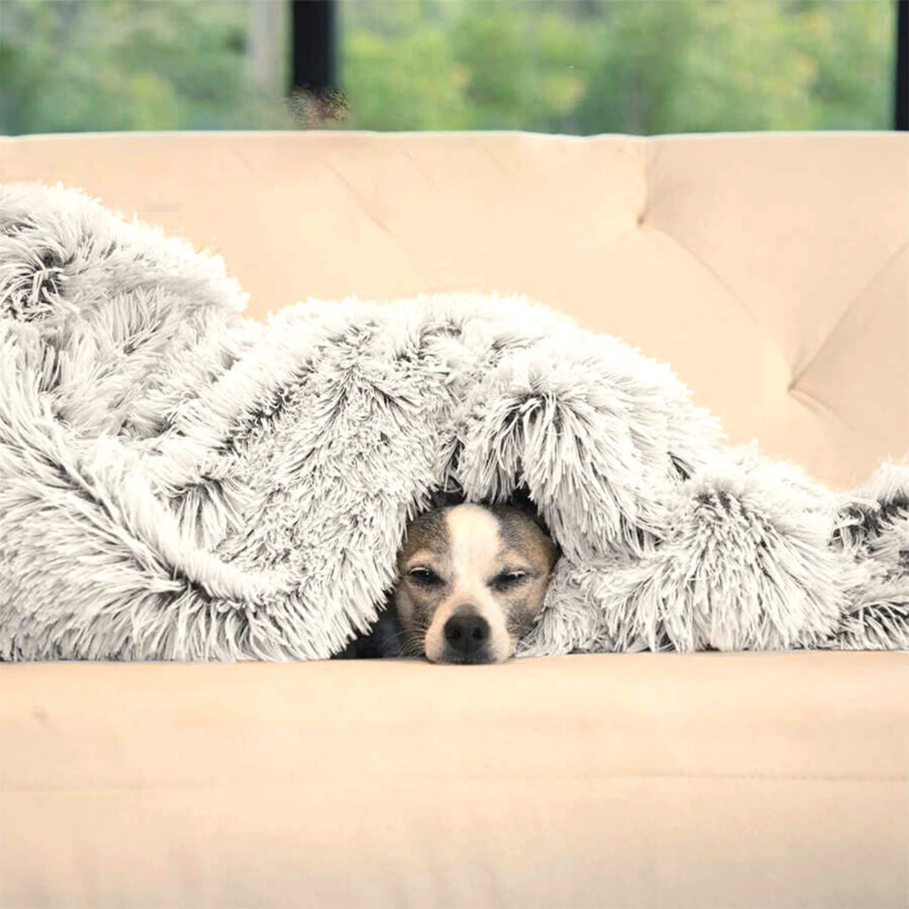 CuddlePaw Haustierdecke - Komfortabel und Weich für einen Entspannten Schlaf