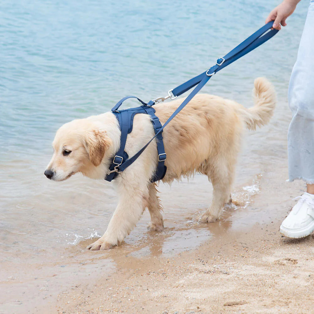 FlexiFit - Verstellbares Gummiband-Hundegeschirr für maximalen Komfort