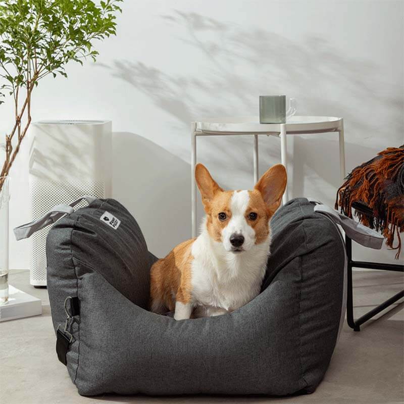 Autositz für Hunde – Sicheres und komfortables Reisen