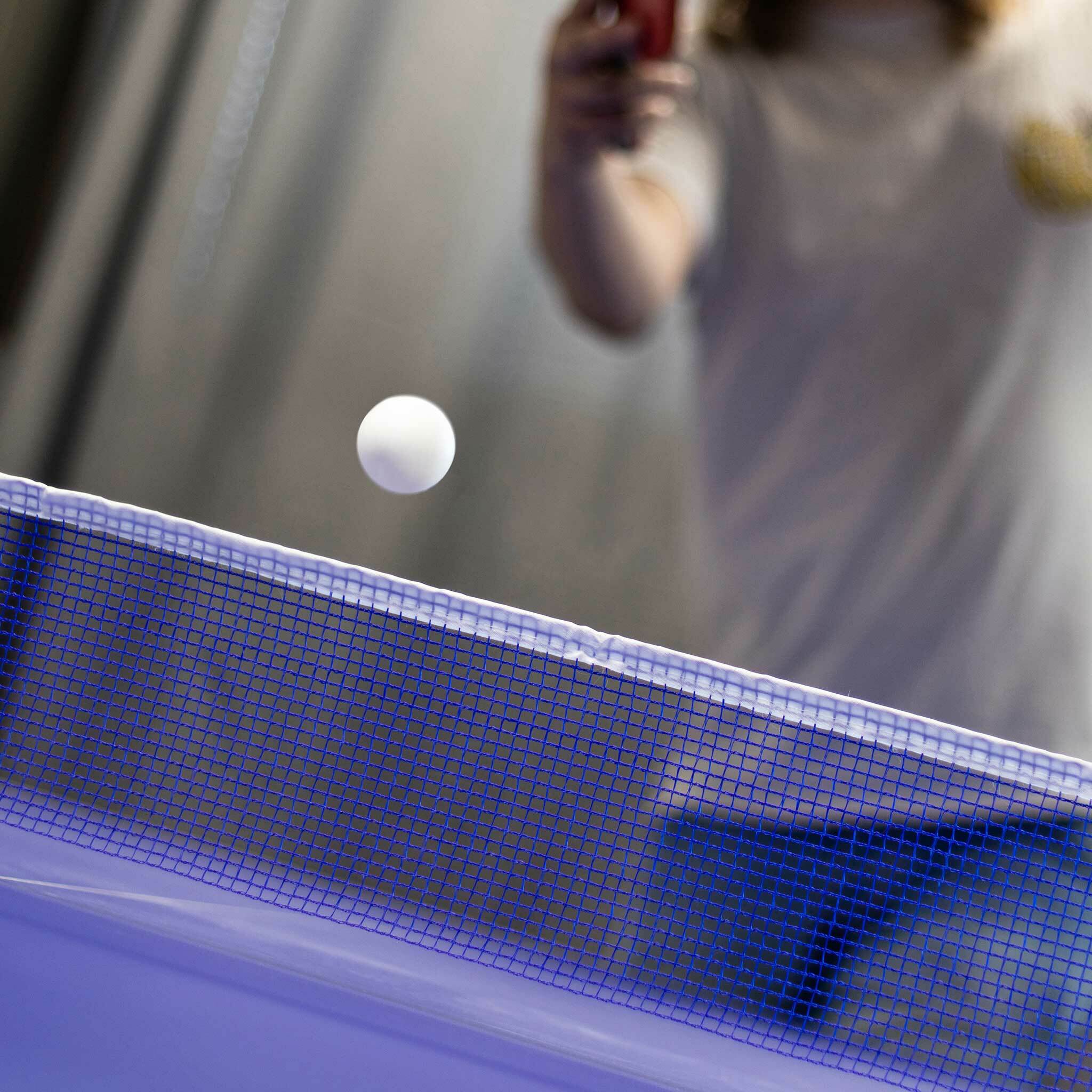 Tavolo da ping pong ProSport Elite